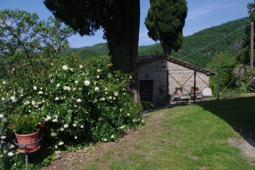 Fotografo-Agriturismo-Firenze-033